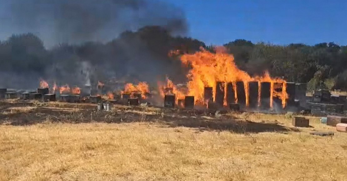 Θεσσαλονίκη: Συνελήφθη άνδρας για την πυρκαγιά στον Χορτιάτη - Του επιβλήθηκε πρόστιμο 4.331 ευρώ