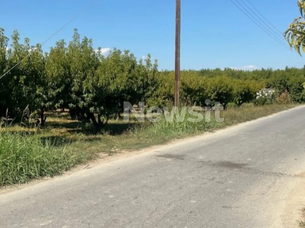 Δολοφονία στη Σκύδρα: Ξεσπά ο ξάδελφος του 76χρονου που σκότωσε τον 72χρονο – «Δεν μπορείς να αφαιρείς μια ψυχή για ένα ροδάκινο»