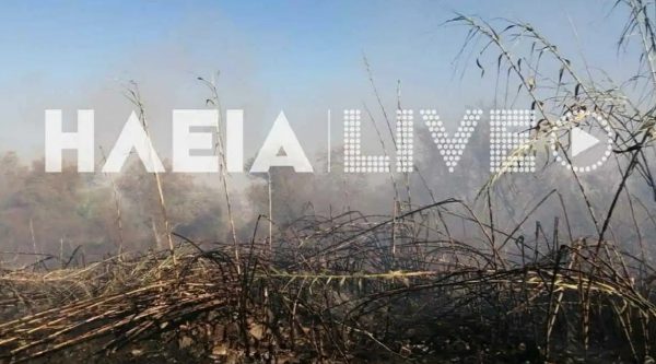 Ηλεία: Πυρκαγιά με δύο ενεργές εστίες στην περιοχή Καλύβια – Επιχειρούν 42 πυροσβέστες με 17 οχήματα