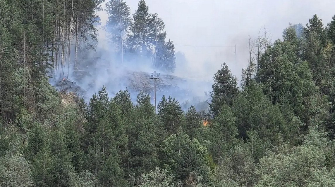 Πυρκαγιά σε δασική έκταση στα Γρεβενά