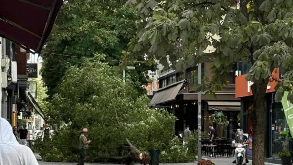 Ισχυροί άνεμοι πλήττουν τη Δυτική Ελλάδα – Πυρκαγιές, πτώσεις δέντρων ενώ ξεριζώθηκαν ακόμη και κάγκελα στην Κοζάνη