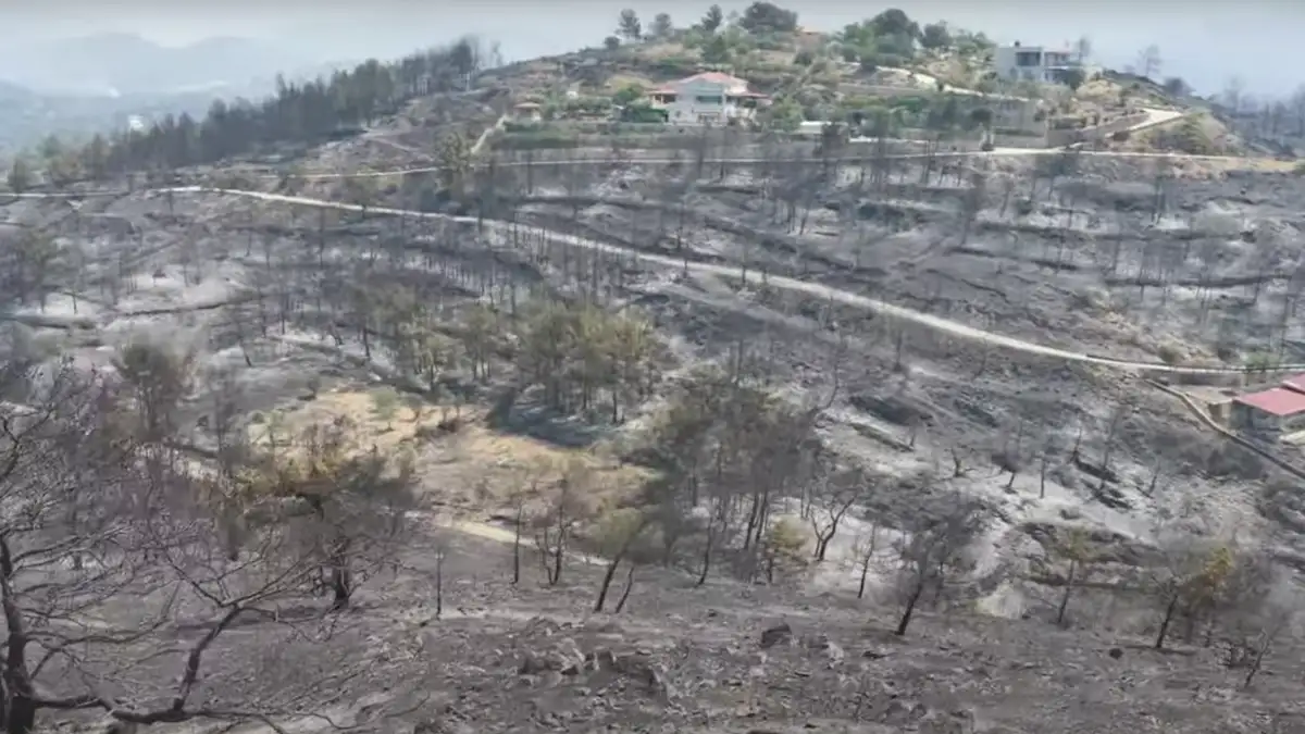 «Μαύρες» εικόνες αποκαλύπτουν το μέγεθος της καταστροφής από την φωτιά στην Χίο