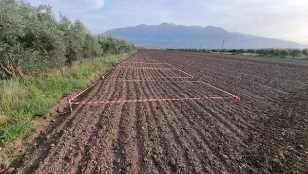 Πρωτόκολλο παραγωγής βέλτιστης ποιότητας στέβιας στην περιοχή της Φθιώτιδας με ενσωμάτωση συστημάτων ευφυούς γεωργίας