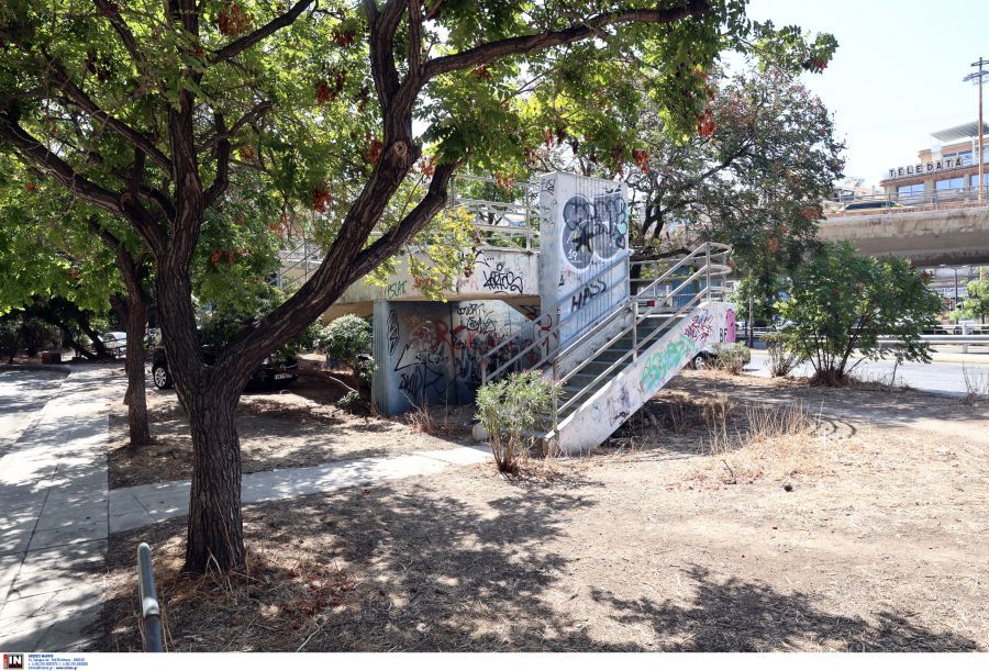 Αρπαγή βρεφών: Τι είπε ο 17χρονος στους αστυνομικούς -«Έχει νευροαναπτυξιακή διαταραχή», ισχυρίζεται ο πατέρας του