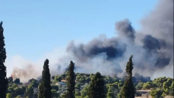 Φωτιά στην Αργολίδα – Μήνυμα από το 112 «παραμείνετε σε ετοιμότητα»