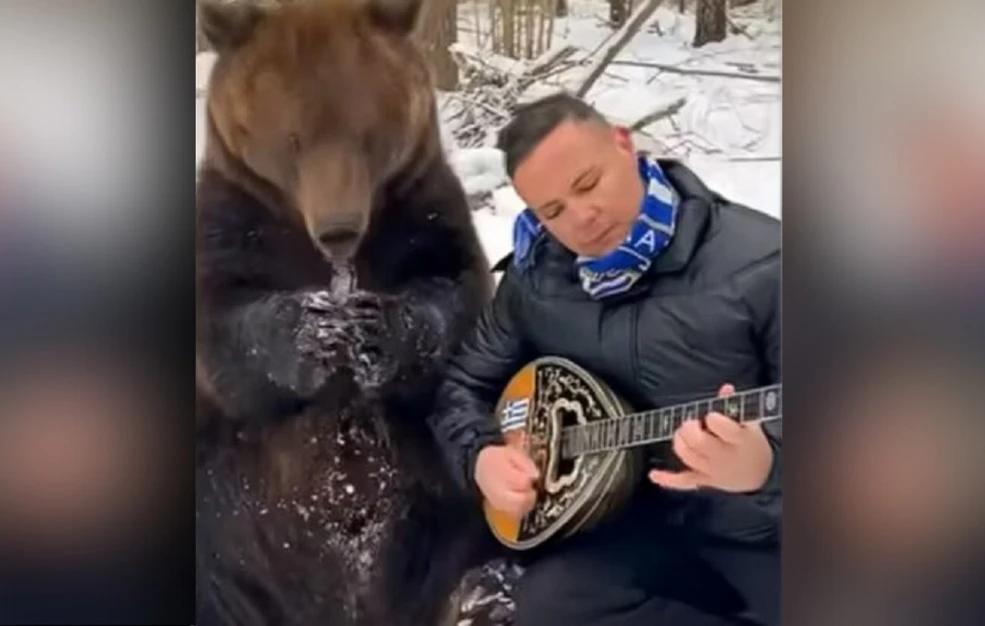 Λαρισαίος μουσικός παίζει μπουζούκι παρέα με αρκούδα στη Ρωσία – Το viral το «Ζεϊμπέκικο της Ευδοκίας» με τον απρόσμενο ακροατή