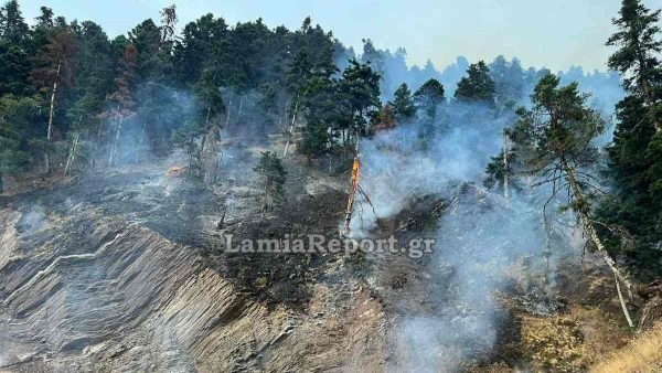 Πυρκαγιές το απόγευμα σε διάφορα σημεία της Φθιώτιδας
