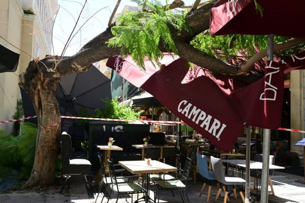 Πτώση δέντρου στο κέντρο της Αθήνας: «Έχανα πολύ αίμα, λιποθυμούσα και έκανα εμετό» λέει η τραυματίας