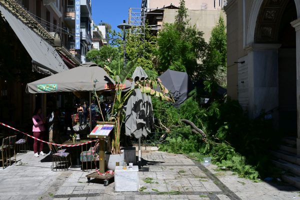 Πτώση δέντρου στην Αθήνα: «Νομίζαμε πως πέθανε η γυναίκα, έβγαζε αίμα από το στόμα»
