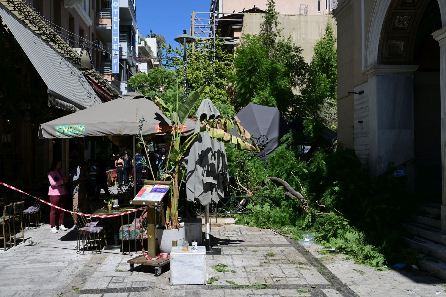 Δύο τραυματίες από πτώση δέντρου στο κέντρο της Αθήνας – Στο νοσοκομείο μια γυναίκα
