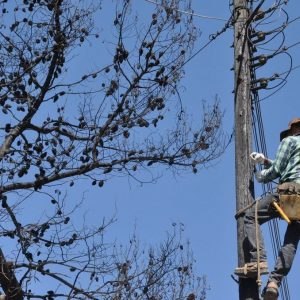 Φθιώτιδα: Οι διακοπές ρεύματος τη νέα εβδομάδα