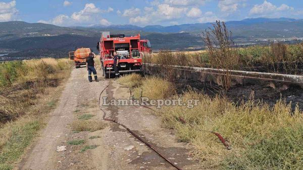Πυρκαγιά σε καλαμιές στην Ανθήλη Λαμίας - Ρίψεις και από τα PZL