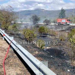 Ακόμη δύο συλλήψεις στη Στερεά για πυρκαγιές - Τσουχτερά τα πρόστιμα