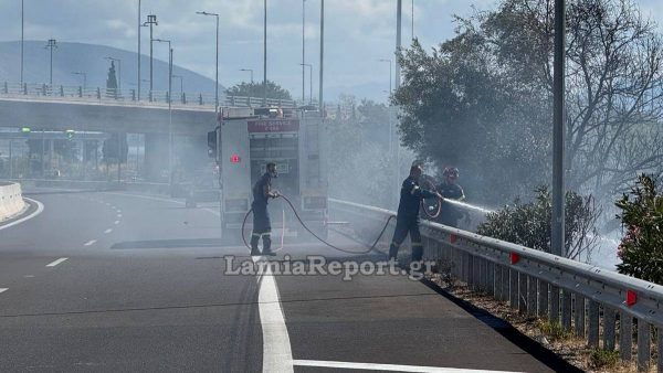 Φθιώτιδα: Πυρκαγιά δίπλα στην εθνική οδό (ΒΙΝΤΕΟ-ΦΩΤΟ)