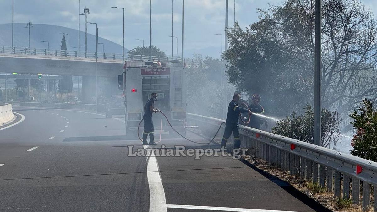 Φθιώτιδα: Πυρκαγιά δίπλα στην εθνική οδό (ΒΙΝΤΕΟ-ΦΩΤΟ)