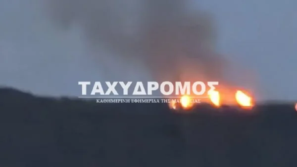 Φωτιά σε λόφο έξω από τον Βόλο – Ισχυρές δυνάμεις στο σημείο