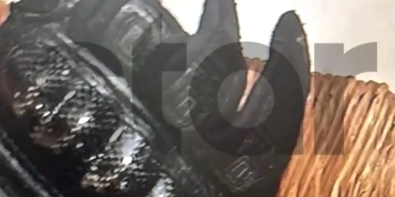 Εξάρχεια: Αυτά τα γκλομπ και τα γάντια είχαν πάνω τους οι γιοι πρώην υπουργού του ΣΥΡΙΖΑ που συνελήφθησαν