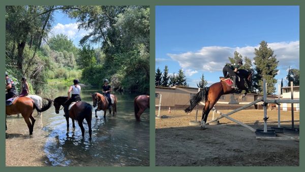 Ζήστε την εμπειρία της ιππασίας στον Ιππικό Όμιλο Λαμίας!