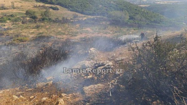 Λαμία: Πρόλαβαν επικίνδυνη πυρκαγιά στην Καμηλόβρυση