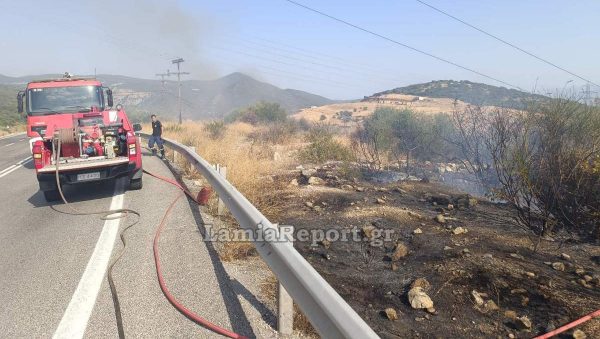 Λαμία: Έτρεχαν πάλι για φωτιές στην Καμηλόβρυση