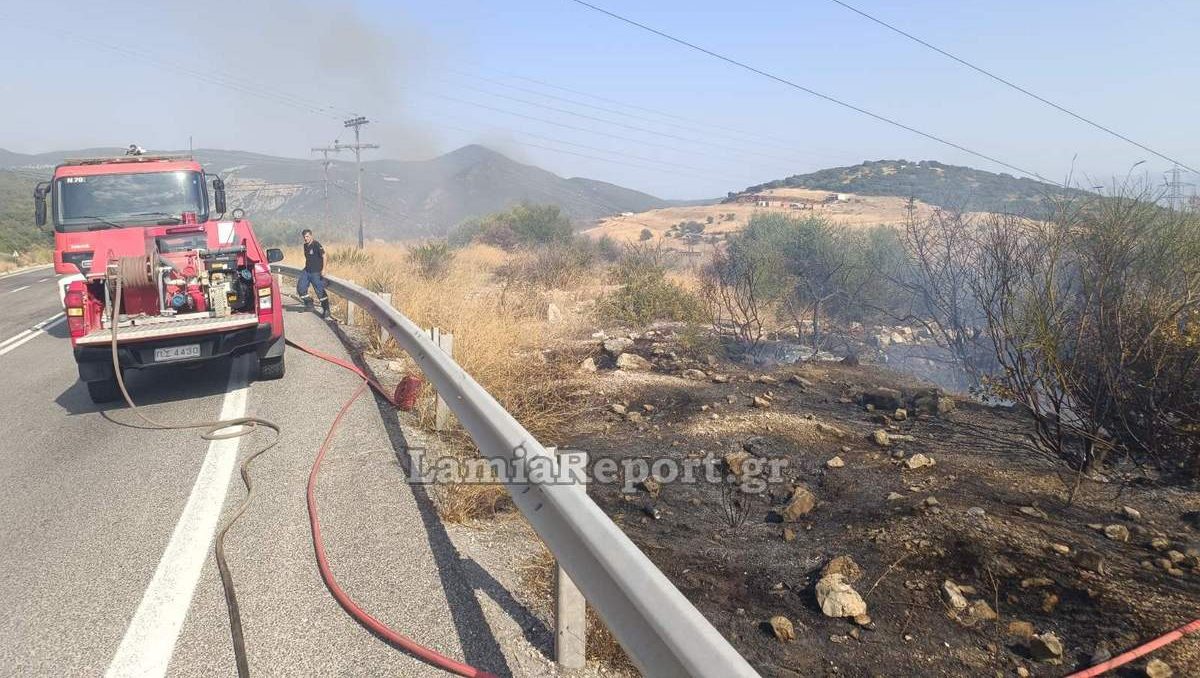 Λαμία: Έτρεχαν πάλι για φωτιές στην Καμηλόβρυση