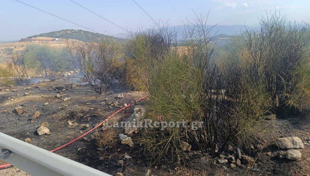 Νέα πυρκαγιά στην Καμηλόβρυση - Καθημερινό πρόβλημα οι φωτιές στον καταυλισμό