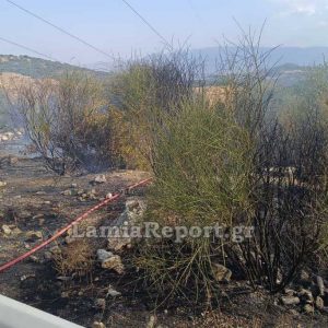 Νέα πυρκαγιά στην Καμηλόβρυση - Καθημερινό πρόβλημα οι φωτιές στον καταυλισμό