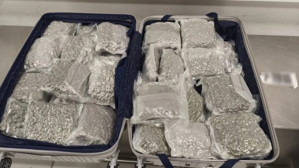 «Ελευθέριος Βενιζέλος»: Συνελήφθη 25χρονος στο αεροδρόμιο που προσπάθησε να περάσει 18 κιλά κάνναβης