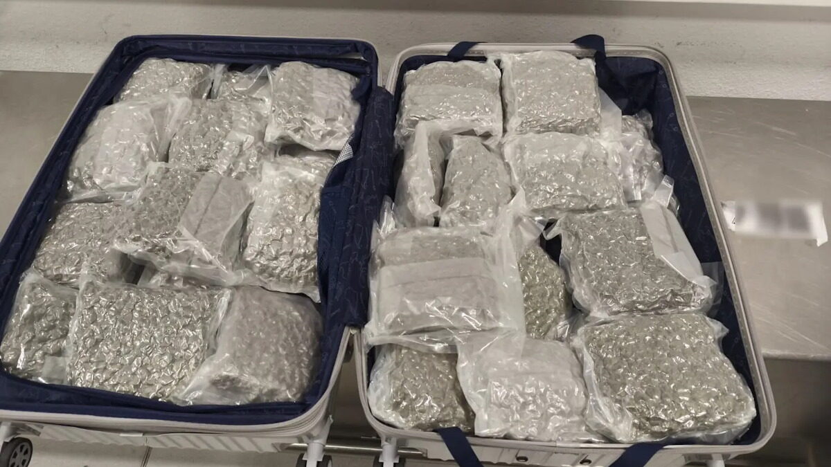 «Ελευθέριος Βενιζέλος»: Συνελήφθη 25χρονος στο αεροδρόμιο που προσπάθησε να περάσει 18 κιλά κάνναβης