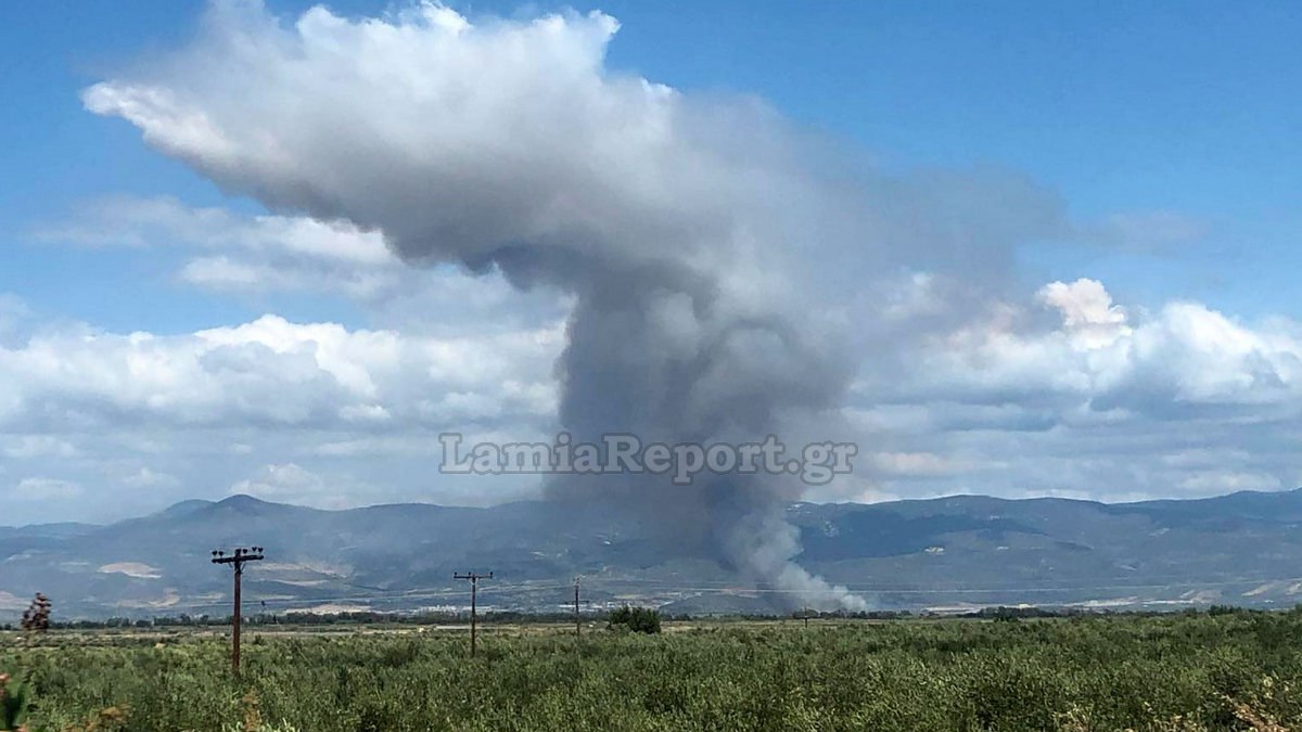 Πυρκαγιά σε καλαμιές στον κάμπο της Λαμίας - Καπνός και μυρωδιά «έπνιξαν» όλη την πόλη!