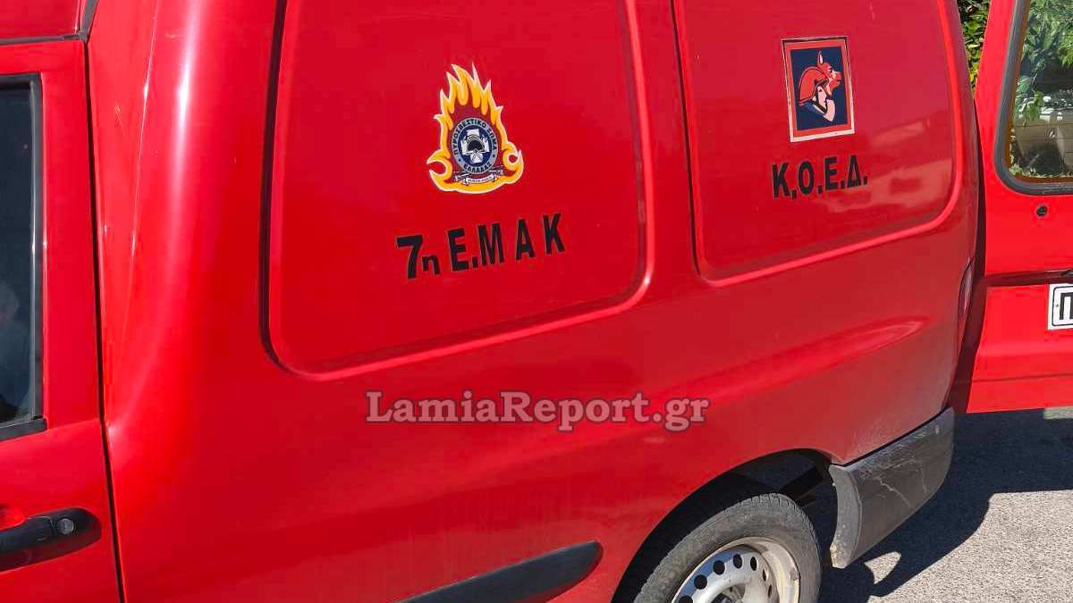 Φθιώτιδα: Βρέθηκε ζωντανή δύο ημέρες μετά την εξαφάνισή της η ηλικιωμένη στο Ρεγκίνι