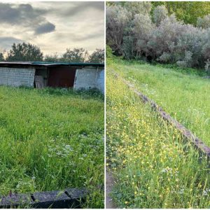 Πωλείται κτήμα με γεώτρηση στις Κομποτάδες
