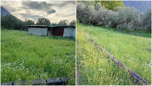 Πωλείται κτήμα με γεώτρηση στις Κομποτάδες