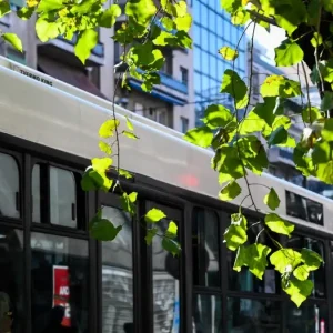 Ελεύθερος ο οδηγός λεωφορείου που αγνόησε κατεβασμένες μπάρες σε σιδηροδρομική διάβαση στη Θεσσαλονίκη