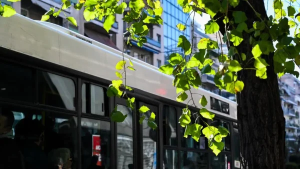 Επίθεση σε οδηγό λεωφορείου: «Του έδωσε μπουνιά, τον έστειλε στο νοσοκομείο και έφυγε» λέει ο γγ του ΟΑΣΑ