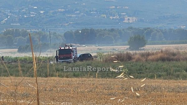 Νέα πυρκαγιά στον κάμπο του Σπερχειού (ΒΙΝΤΕΟ-ΦΩΤΟ)