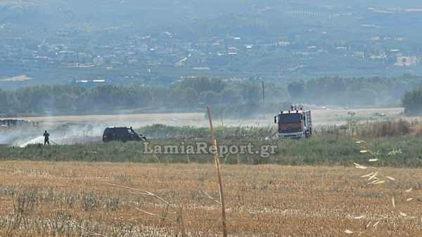 Βροχή τα πρόστιμα στην Εύβοια για άναμμα φωτιάς στην ύπαιθρο