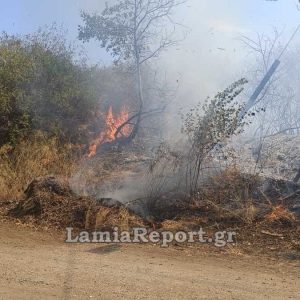 Νέο πρόστιμο για φωτιά σε οικοπεδικό χώρο στην Εύβοια
