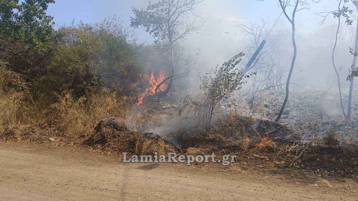 Μεγάλη πυρκαγιά στον Άγιο Σεραφείμ - Σηκώθηκαν αεροπλάνα και ελικόπτερο (ΒΙΝΤΕΟ-ΦΩΤΟ)