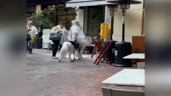 Γυναίκα πήγε βόλτα στο κέντρο της Αθήνας με το… πόνυ της – Δείτε βίντεο