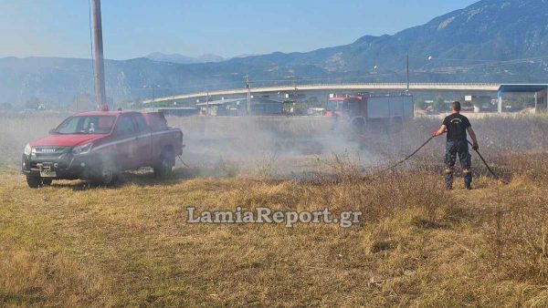 Πυρκαγιά με το καλημέρα στη νότια Λαμία - Δείτε εικόνες