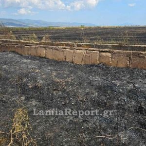 Πυρκαγιά στη Σκάρφεια σε καλαμιές