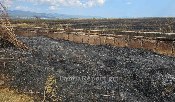 Πυρκαγιά στη Σκάρφεια σε καλαμιές