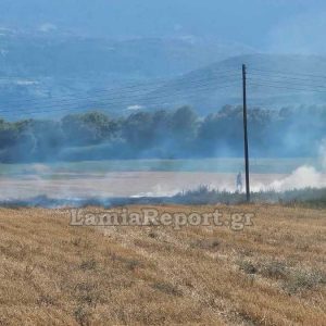 Φθιώτιδα: Έβαλε φωτιά στο χωράφι του και το πλήρωσε ακριβά