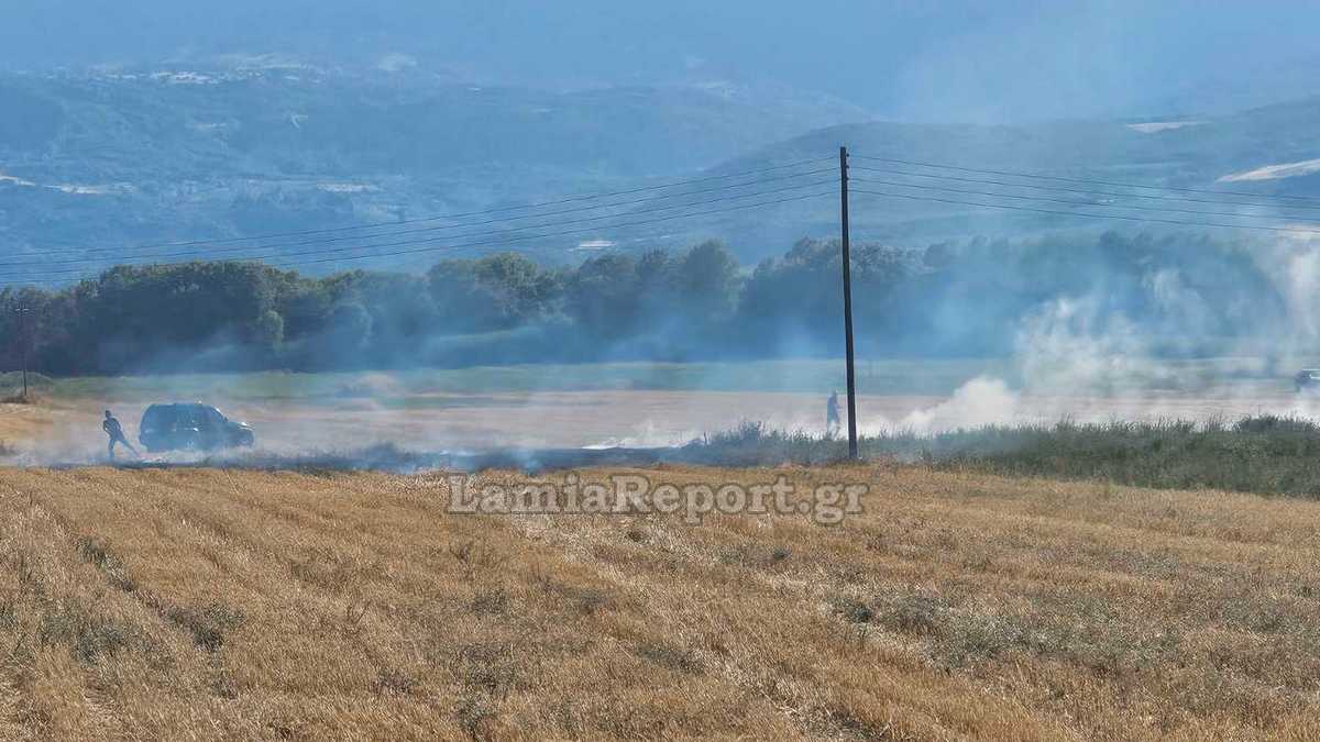 Λαμία: Από πυρκαγιά σε πυρκαγιά έτρεχαν οι πυροσβέστες (ΒΙΝΤΕΟ-ΦΩΤΟ)