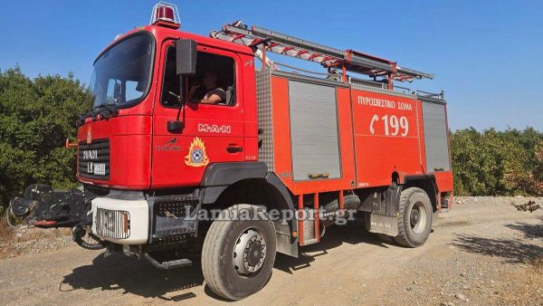 Στερεά: Μία ακόμη σύλληψη για εμπρησμό από αμέλεια