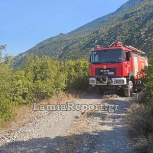 Σύλληψη και πρόστιμα για φωτιές που άναψαν μέσα στο χειμώνα!