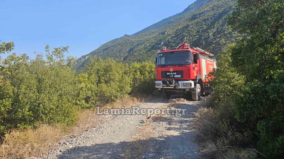 Νέο βαρύ πρόστιμο της Πυροσβεστικής στη Χαλκίδα