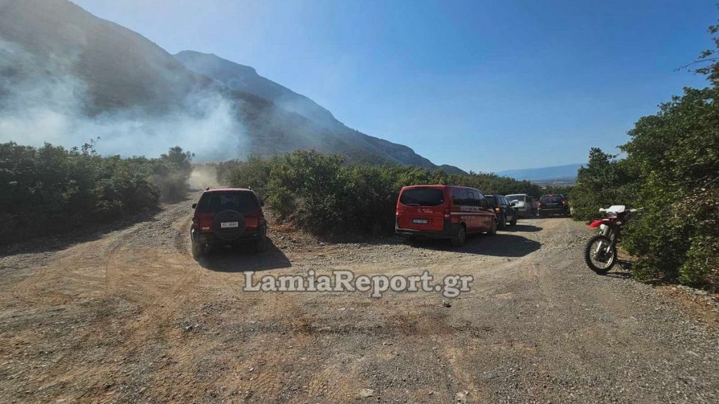 Από βραχυκύκλωμα σε γεννήτρια η πυρκαγιά στο Γοργοπόταμο