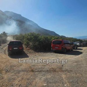 Από βραχυκύκλωμα σε γεννήτρια η πυρκαγιά στο Γοργοπόταμο